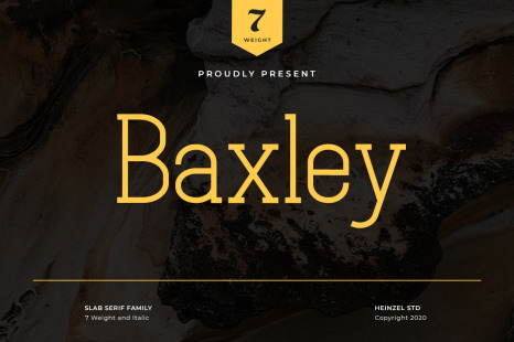 Baxley | Slab Serif - Fonts