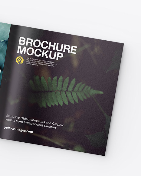 Two Square Brochures Mockup