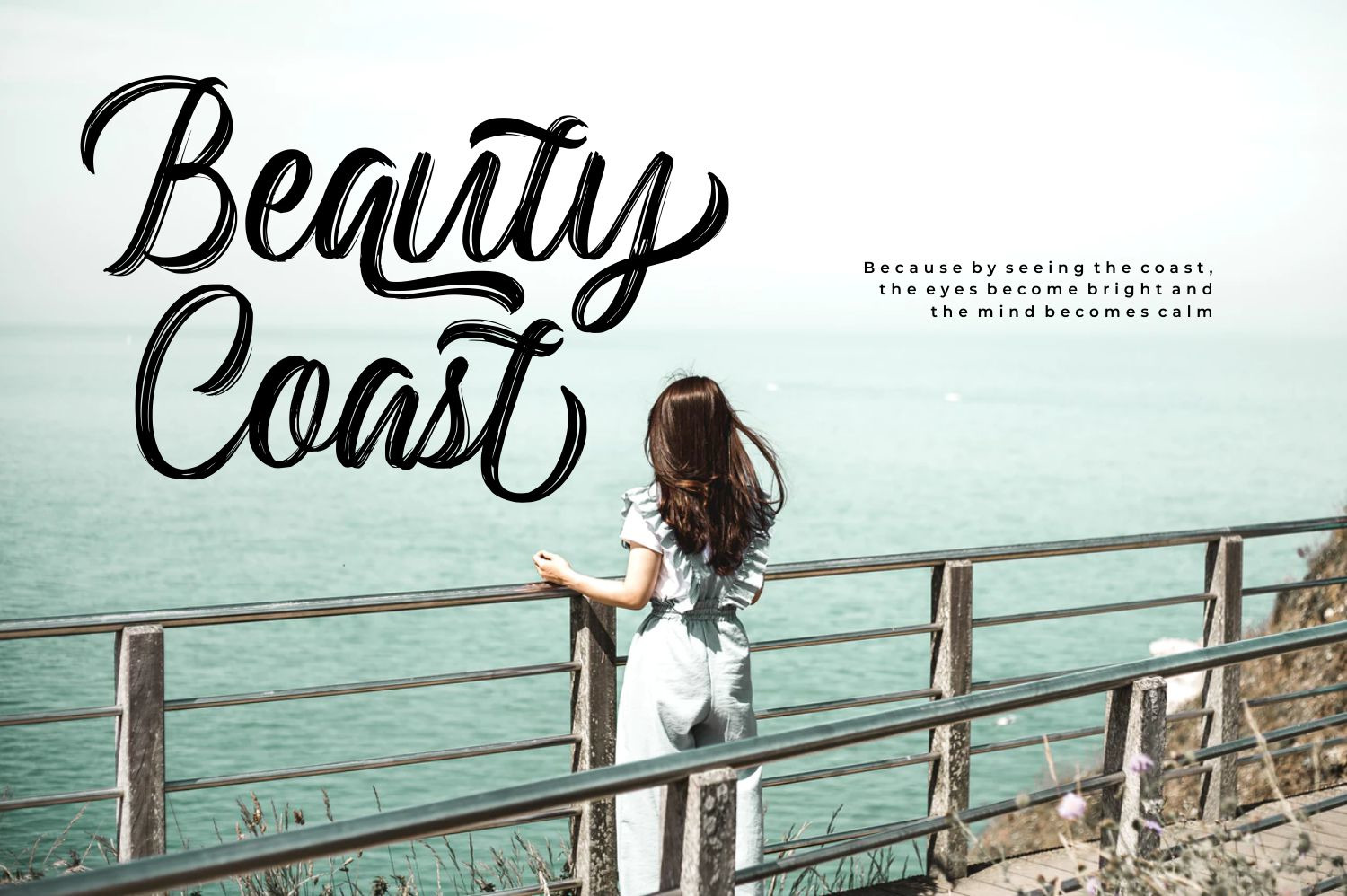 Backrush - Handbrush Script Font Backrush - Handbrush Script Font