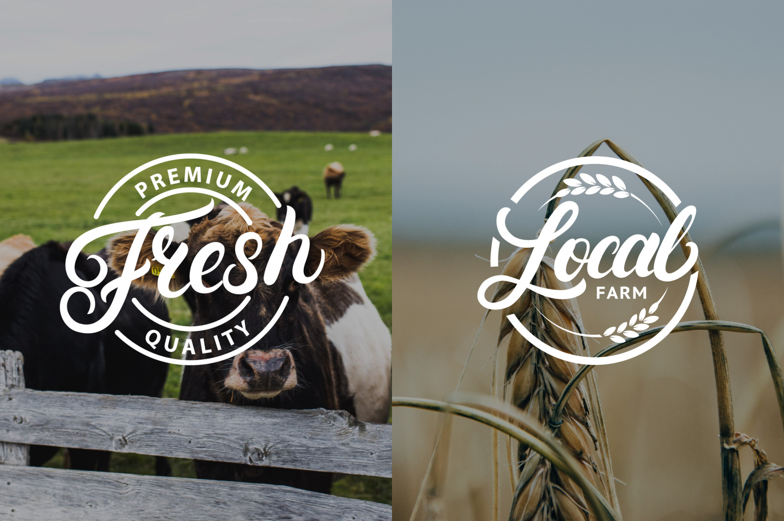 20 Organic and Natural Logos 20 Organic and Natural Logos
