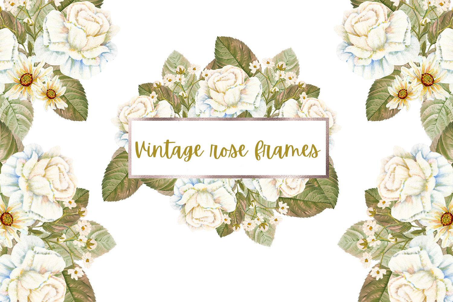 Vintage rose frames