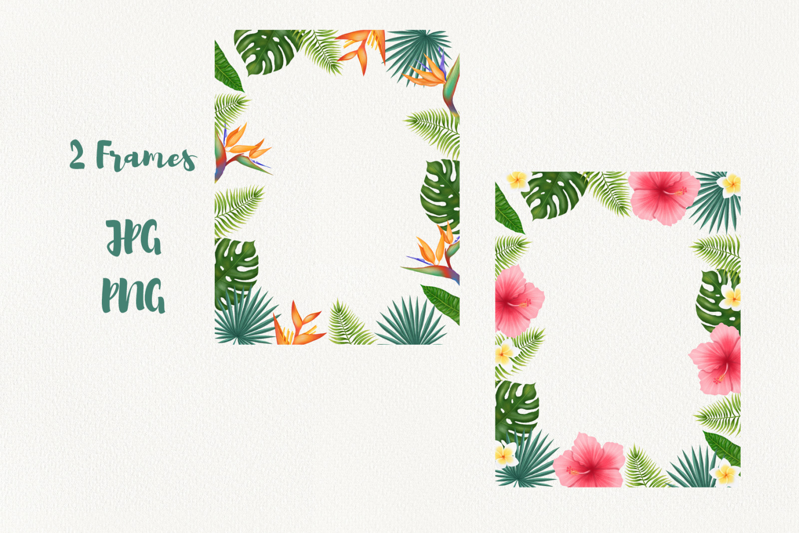 Tropical leaves and flowers clipart