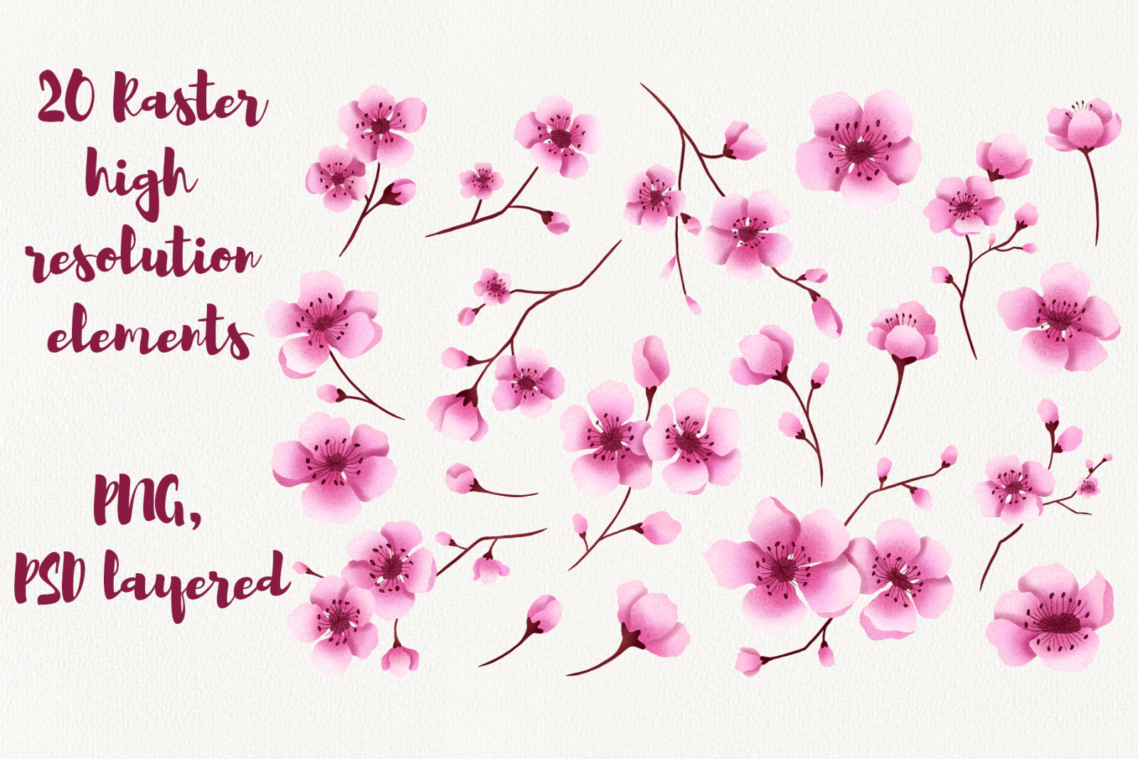 Cherry Blossom Clipart Cherry Blossom Clipart