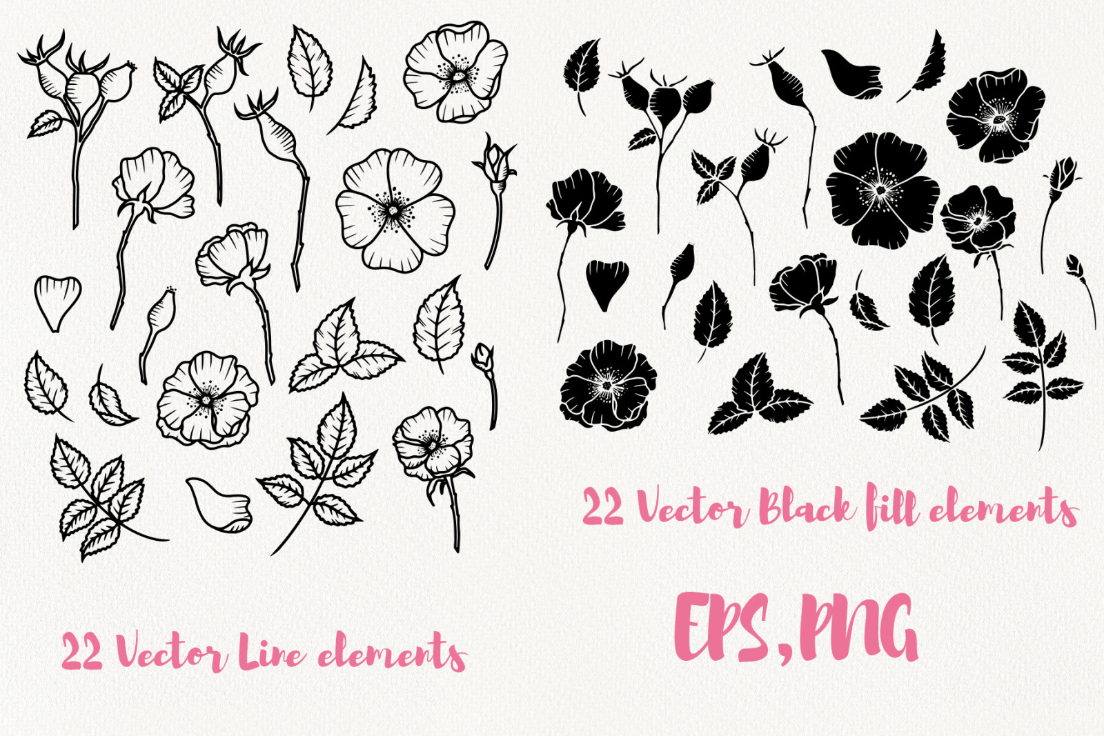 Wild Rose Clipart (Rose Hip) Wild Rose Clipart (Rose Hip)