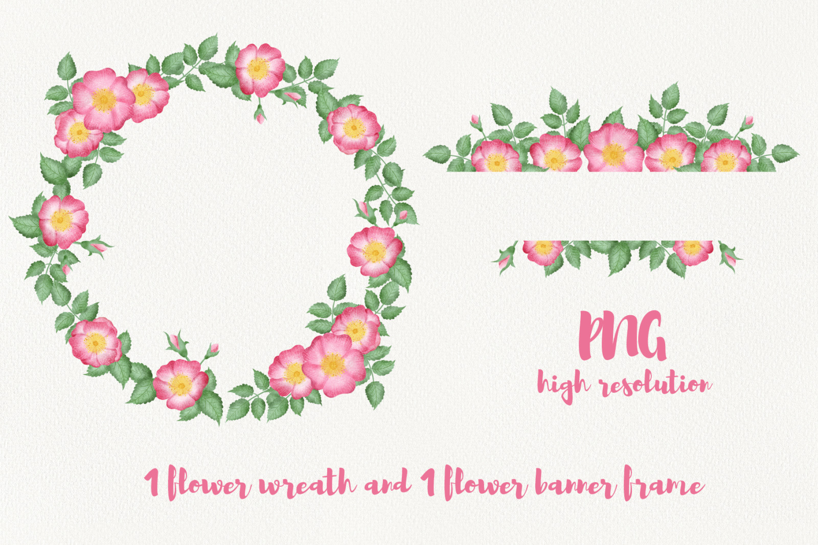 Wild Rose Clipart (Rose Hip) Wild Rose Clipart (Rose Hip)