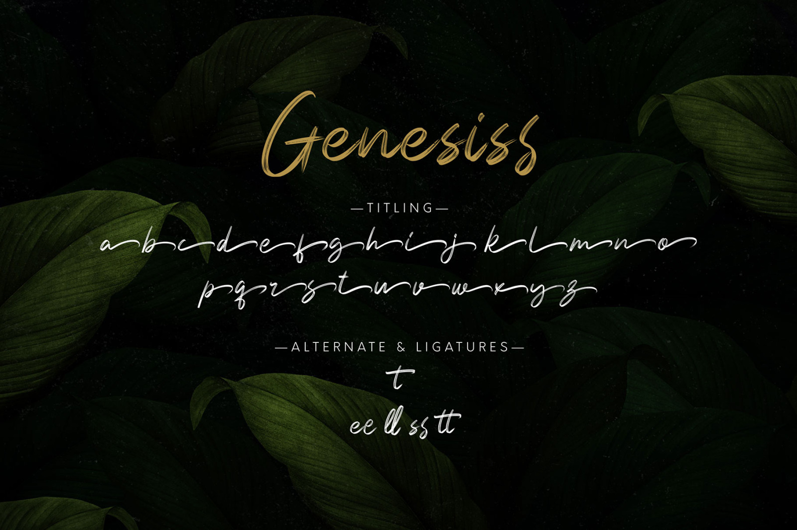 Genesiss Genesiss