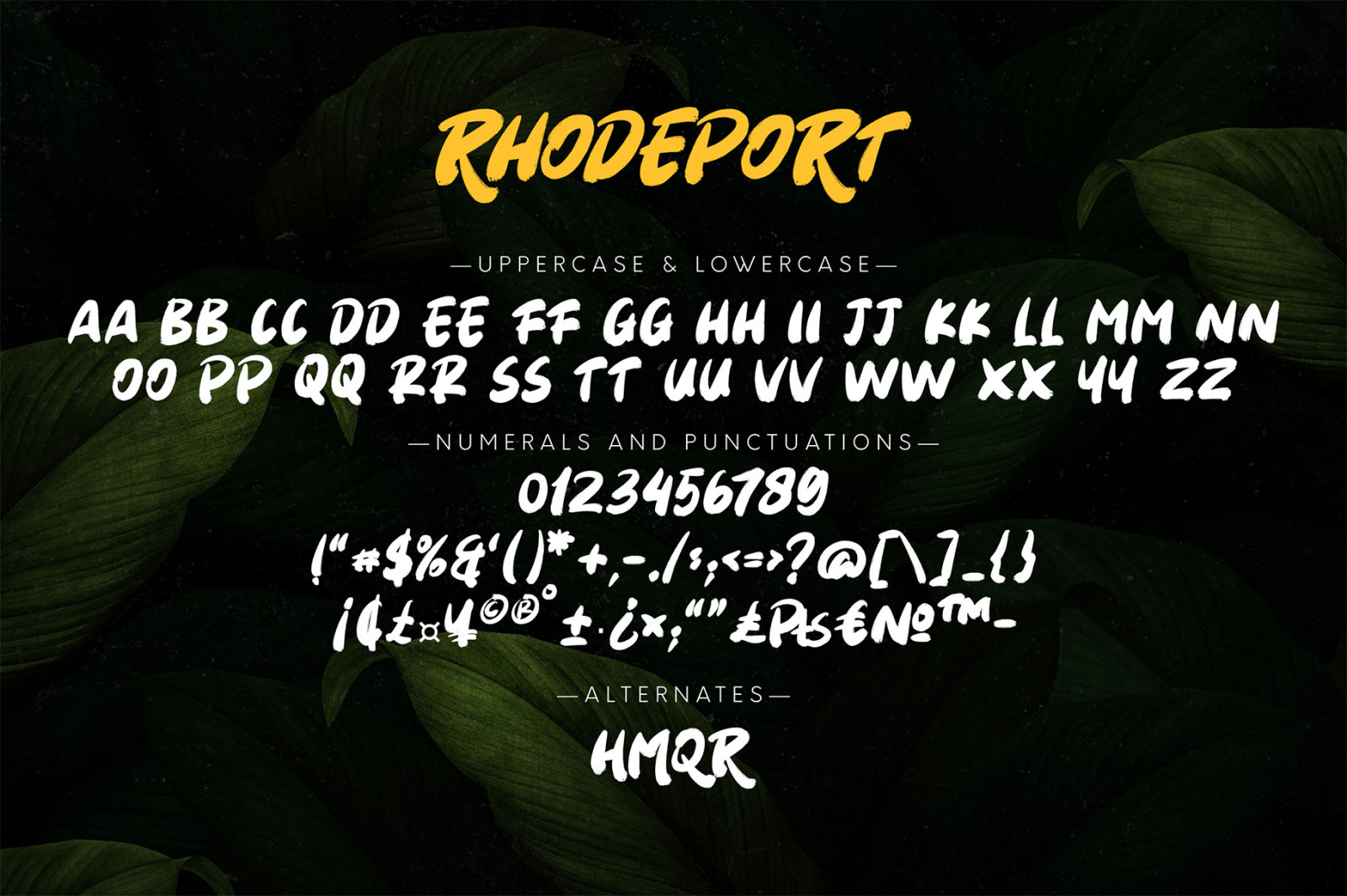 Rhodeport - Brush Font