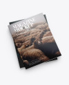 Two Magazines Mockup