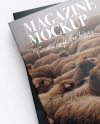 Two Magazines Mockup