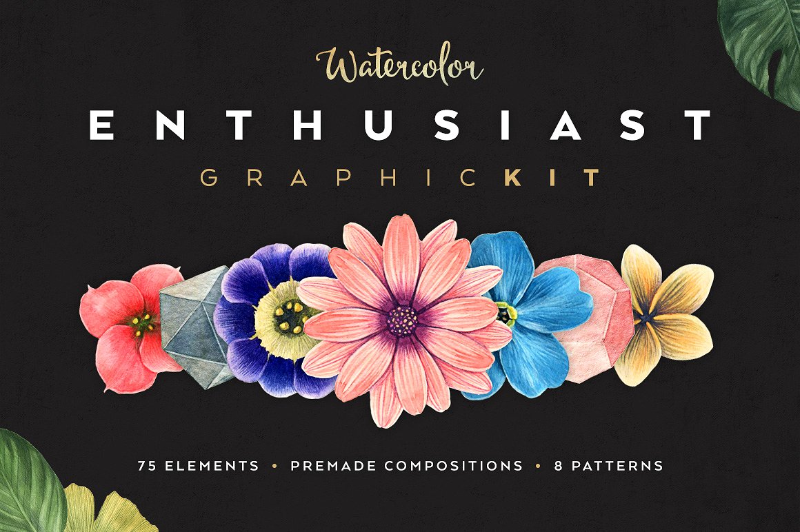 Watercolor Enthusiast Graphic Kit Watercolor Enthusiast Graphic Kit