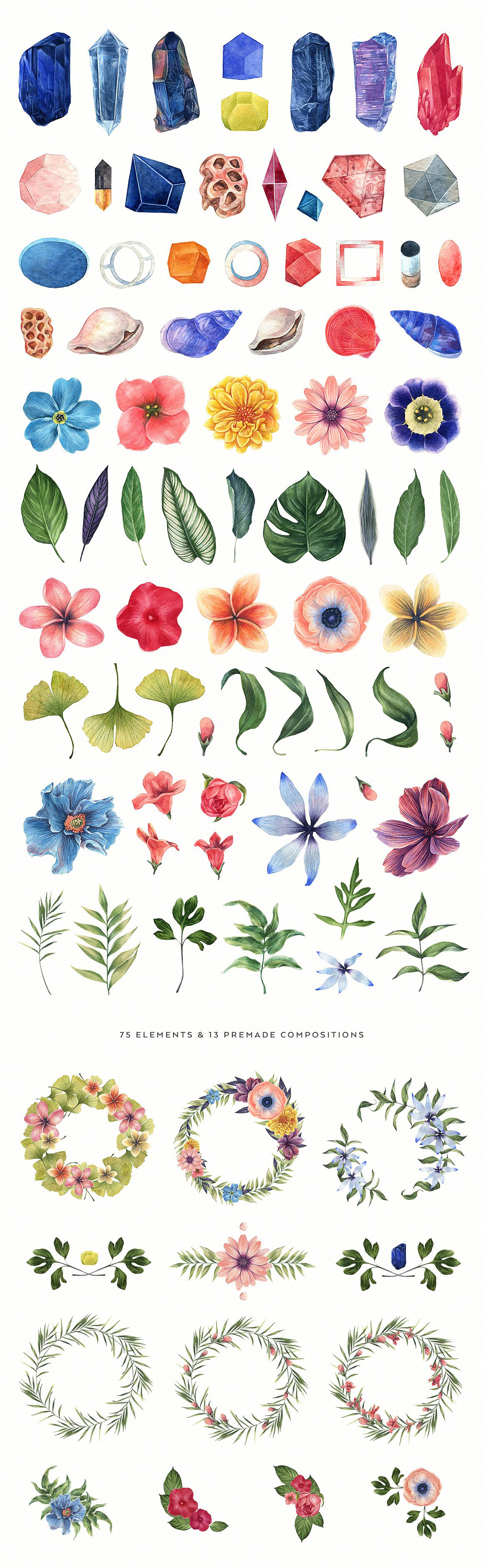 Watercolor Enthusiast Graphic Kit Watercolor Enthusiast Graphic Kit