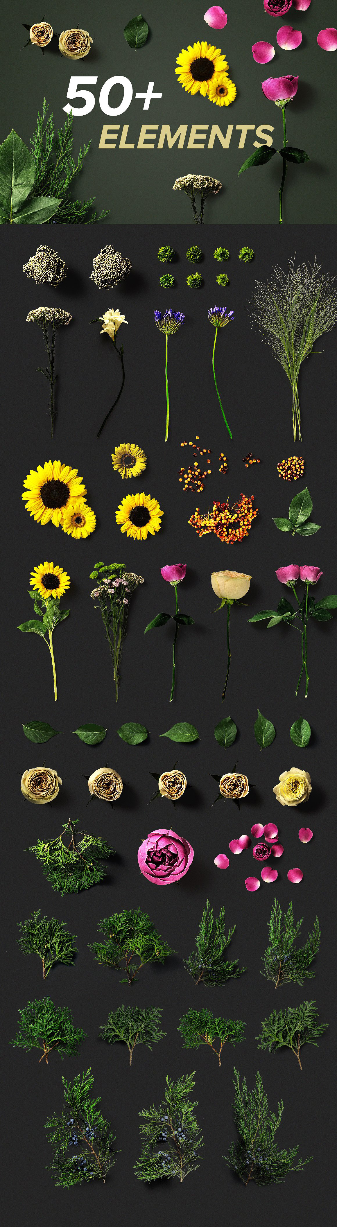 Flower Boom Graphic Pack