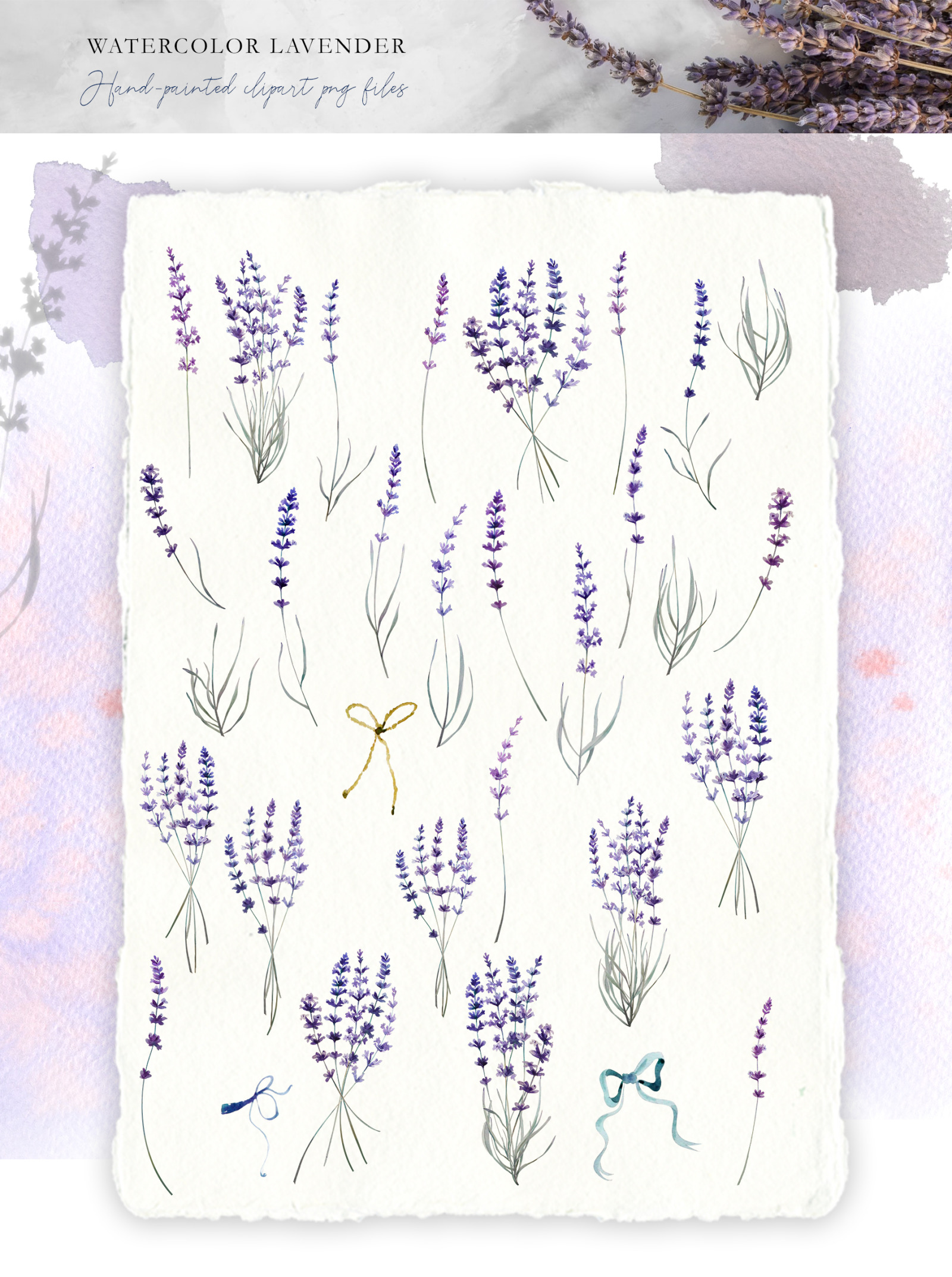 Watercolor Love Lavender Set