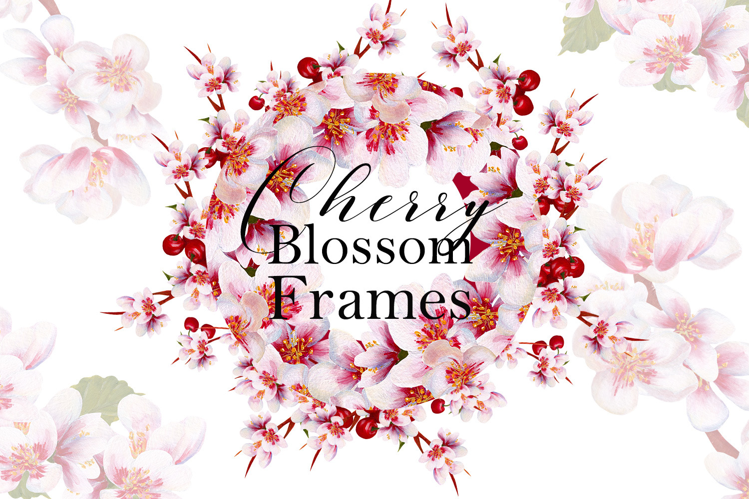 Cherry Blossom Frames