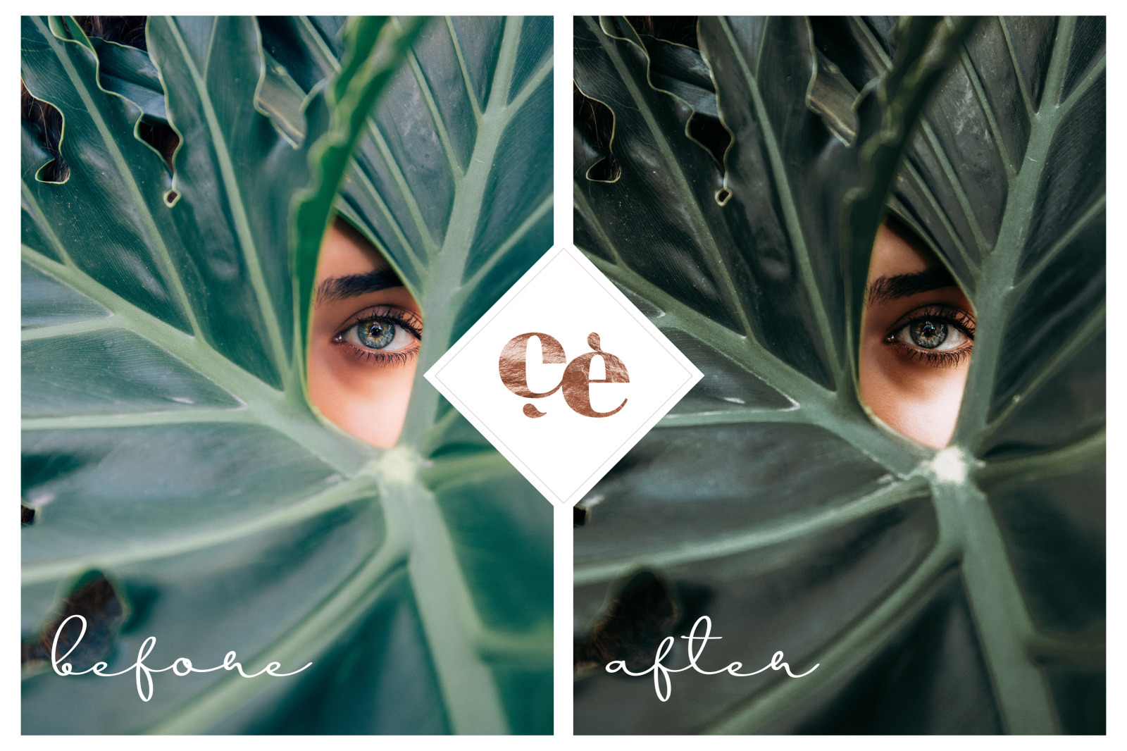 Summer Memories Lightroom Presets Summer Memories Lightroom Presets