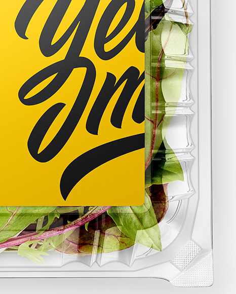 Transparent Plastic Container with Salad Mockup - Top View