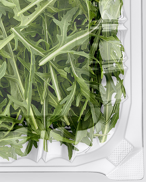 Transparent Plastic Container with Arugula Mockup - Top View