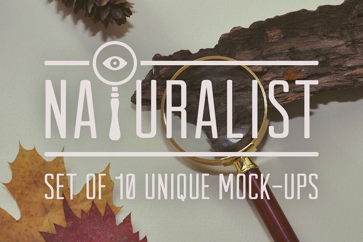 Naturalist: Set of Unique Mock-Ups