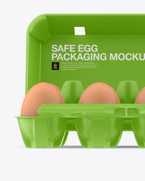 Open Matte Egg Container - Front View