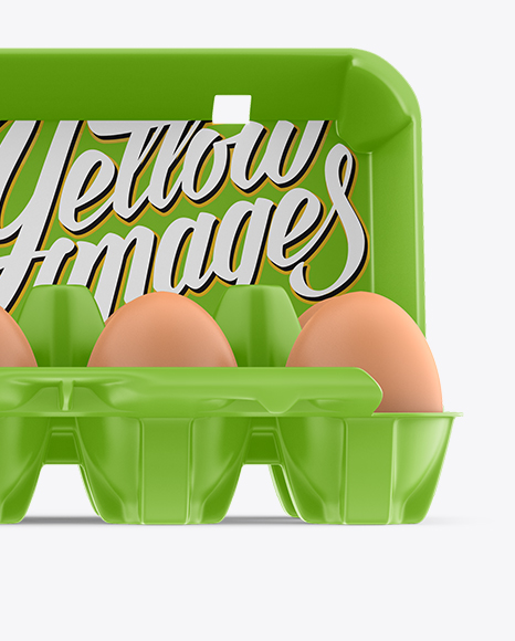 Open Matte Egg Container - Front View - Free Download Images High