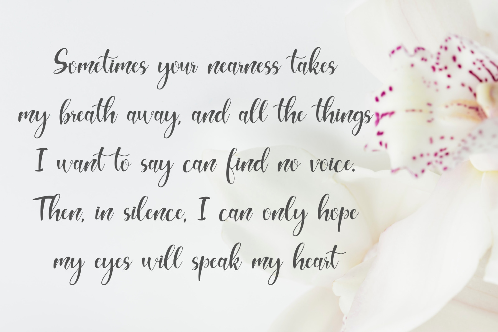 Hello Melda // Lovely Script Font Hello Melda // Lovely Script Font