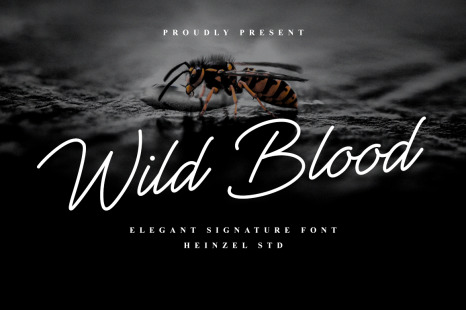 Wild Blood - Handwritten script font