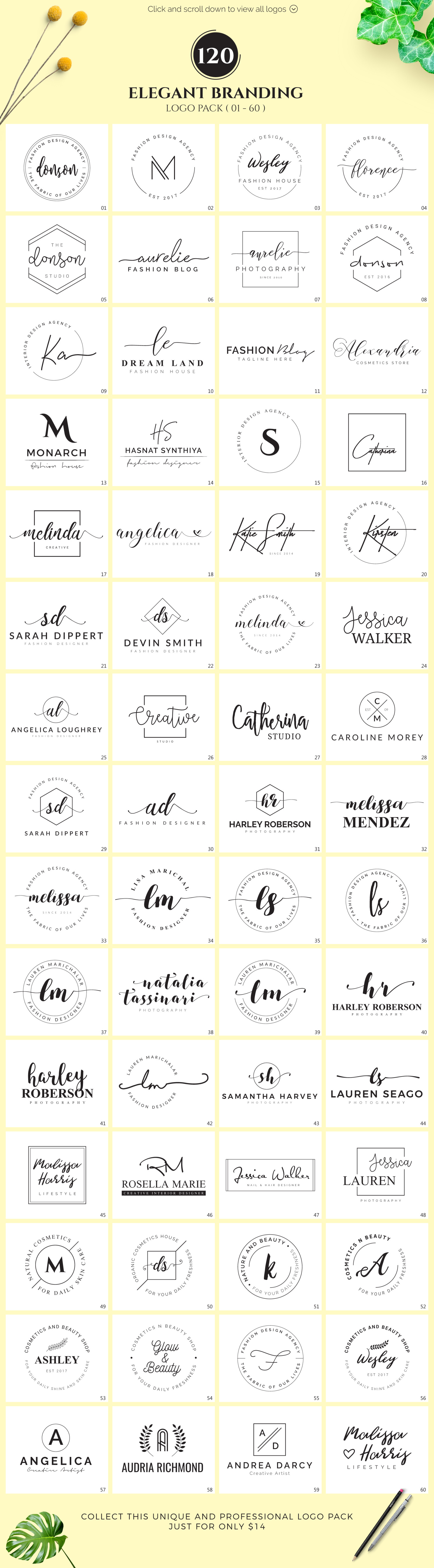 120 Elegant Branding Logo Pack