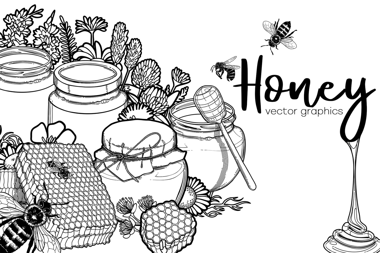 Graphic honey - vector collection Graphic honey - vector collection