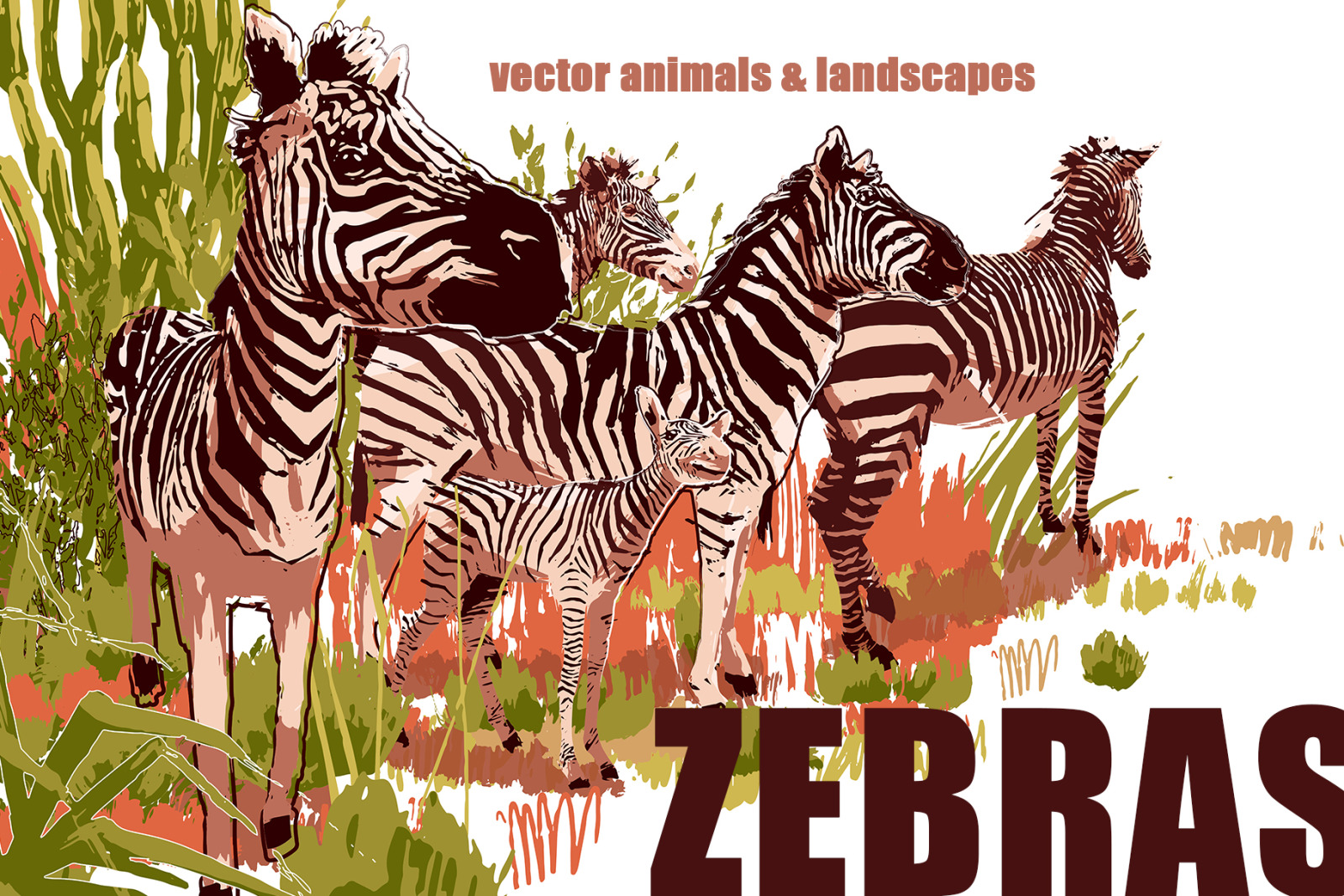 Vector zebras Vector zebras