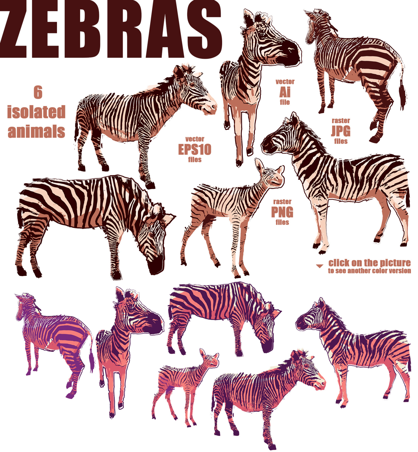 Vector zebras Vector zebras
