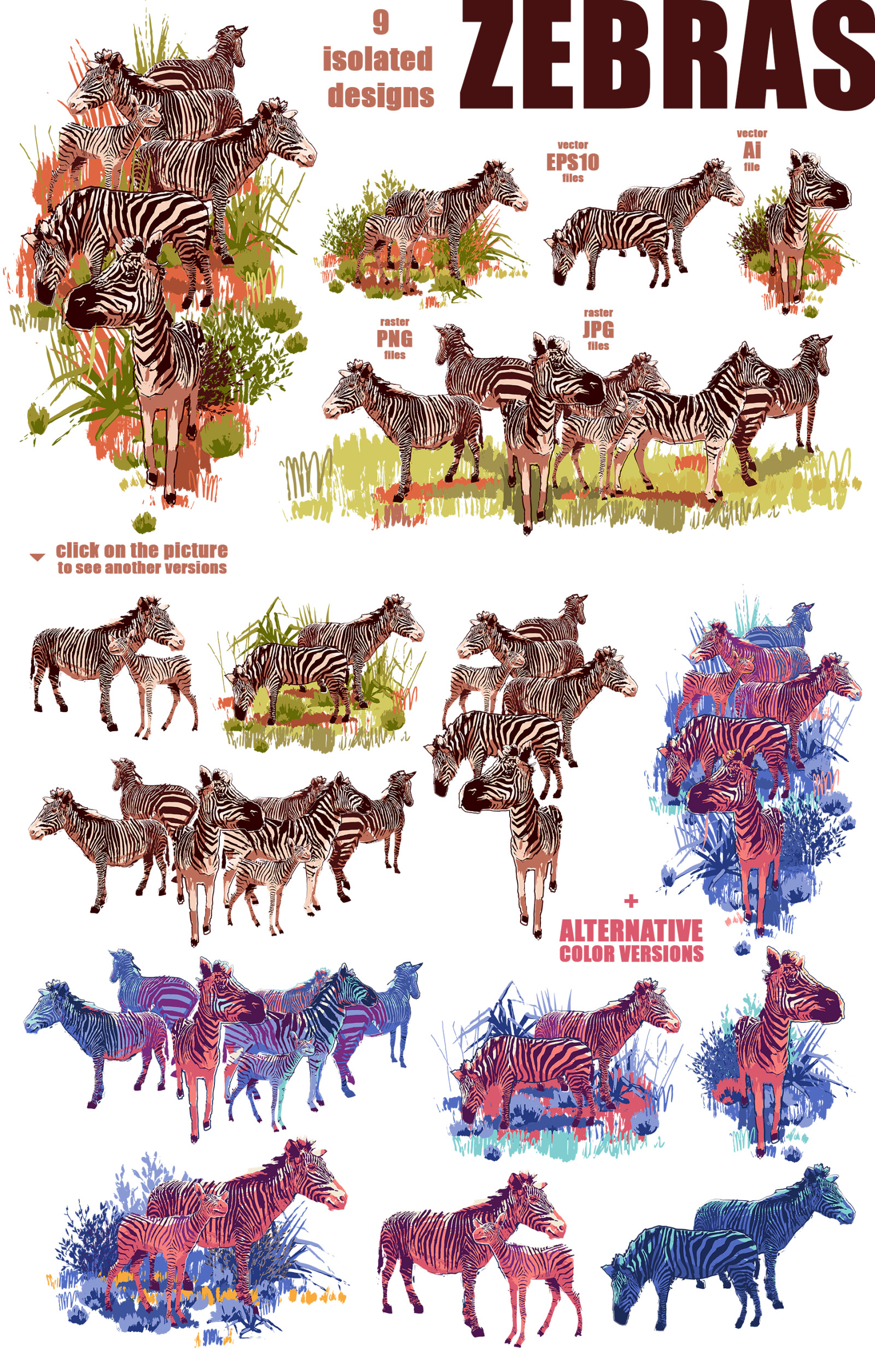 Vector zebras Vector zebras