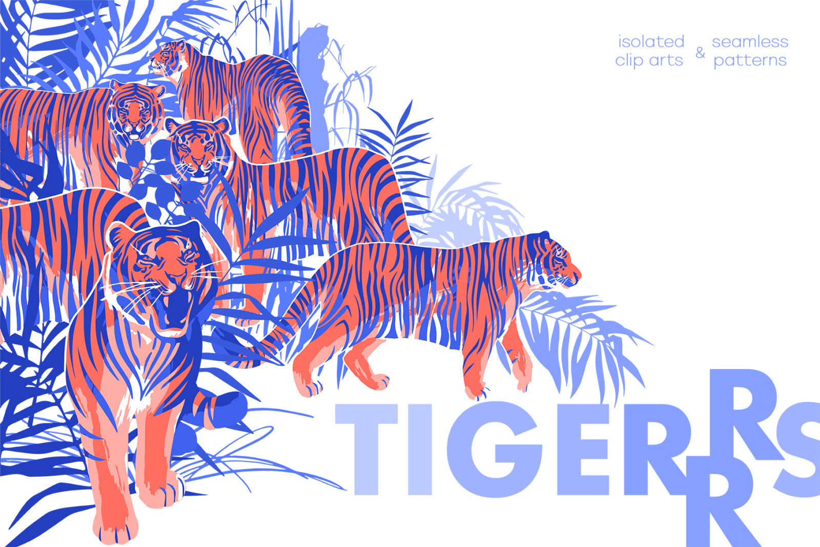 Tigers Tigers