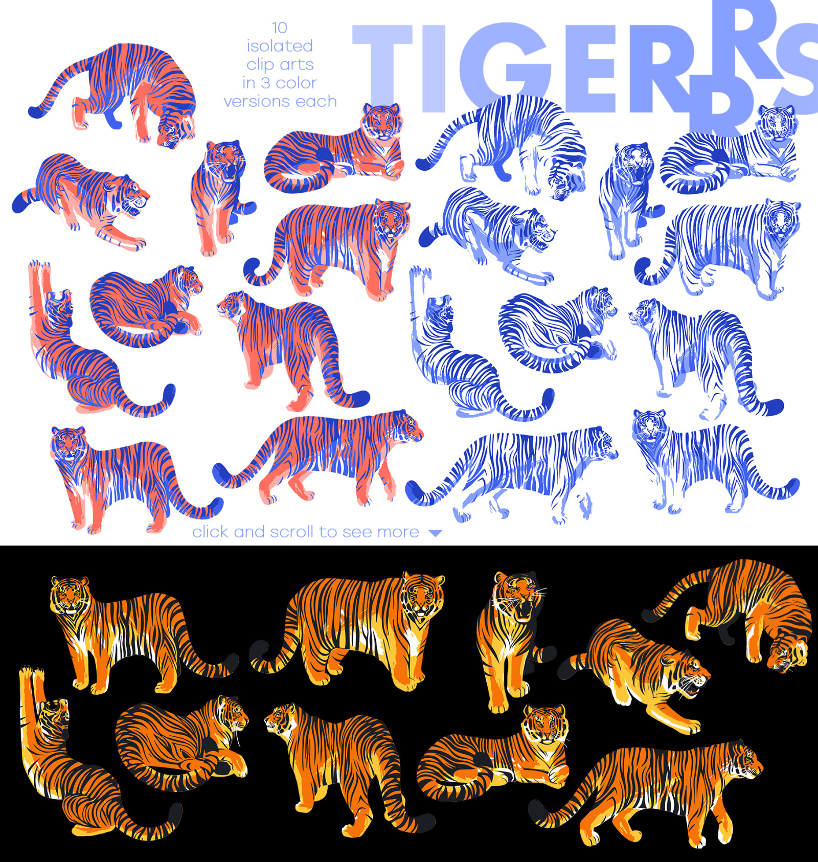 Tigers Tigers