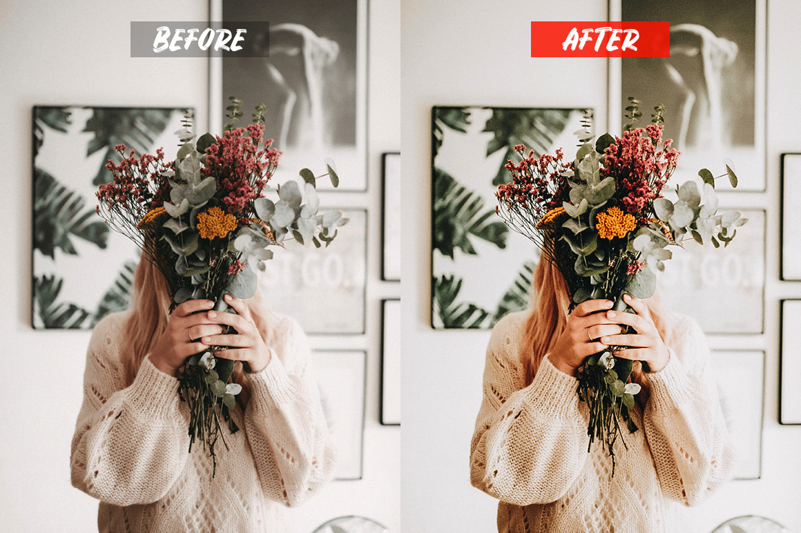 Freelancer Lightroom Presets