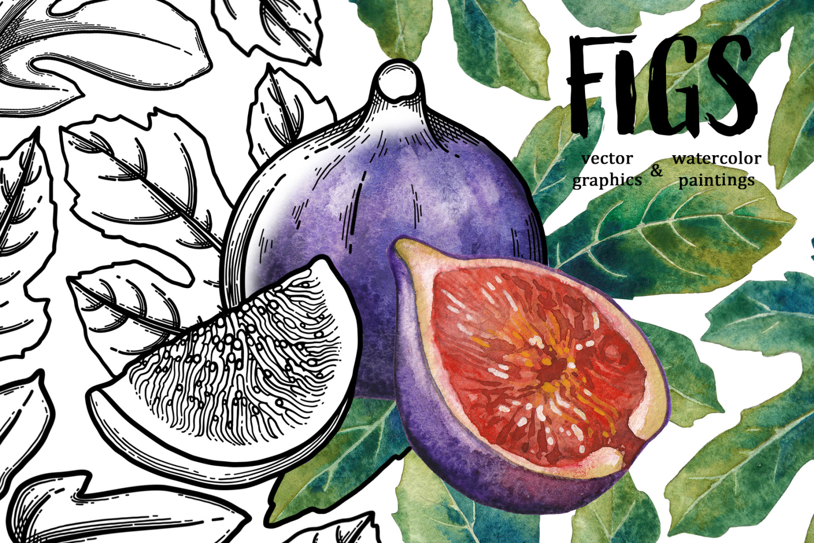 Figs