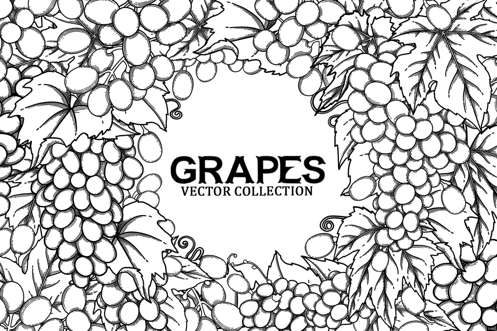 Grapes - vector graphics