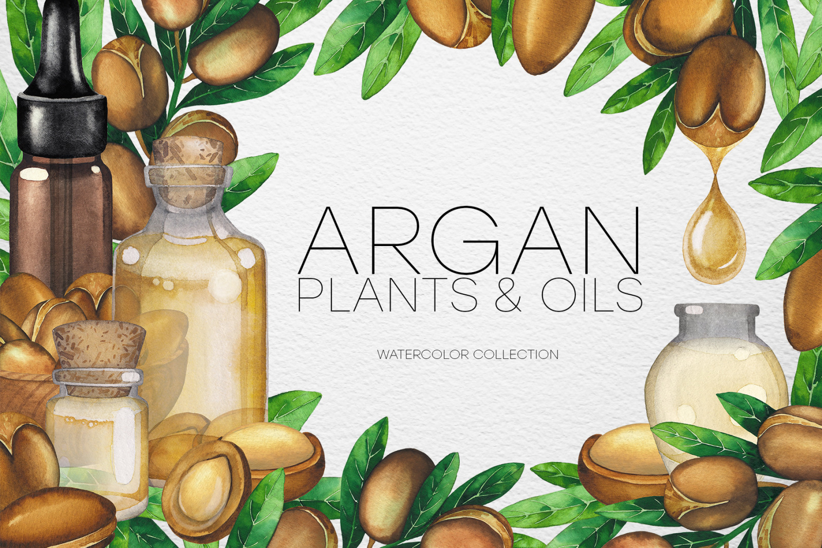 Watercolor argan plants and oils