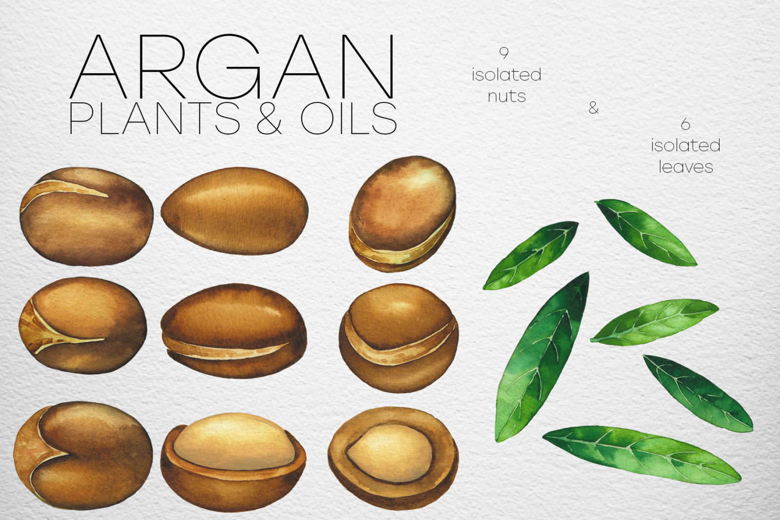 Watercolor argan plants and oils