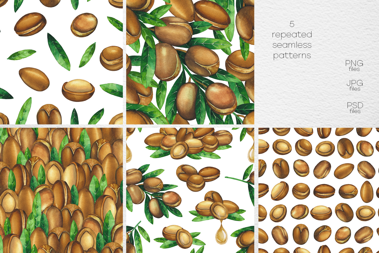 Watercolor argan plants and oils