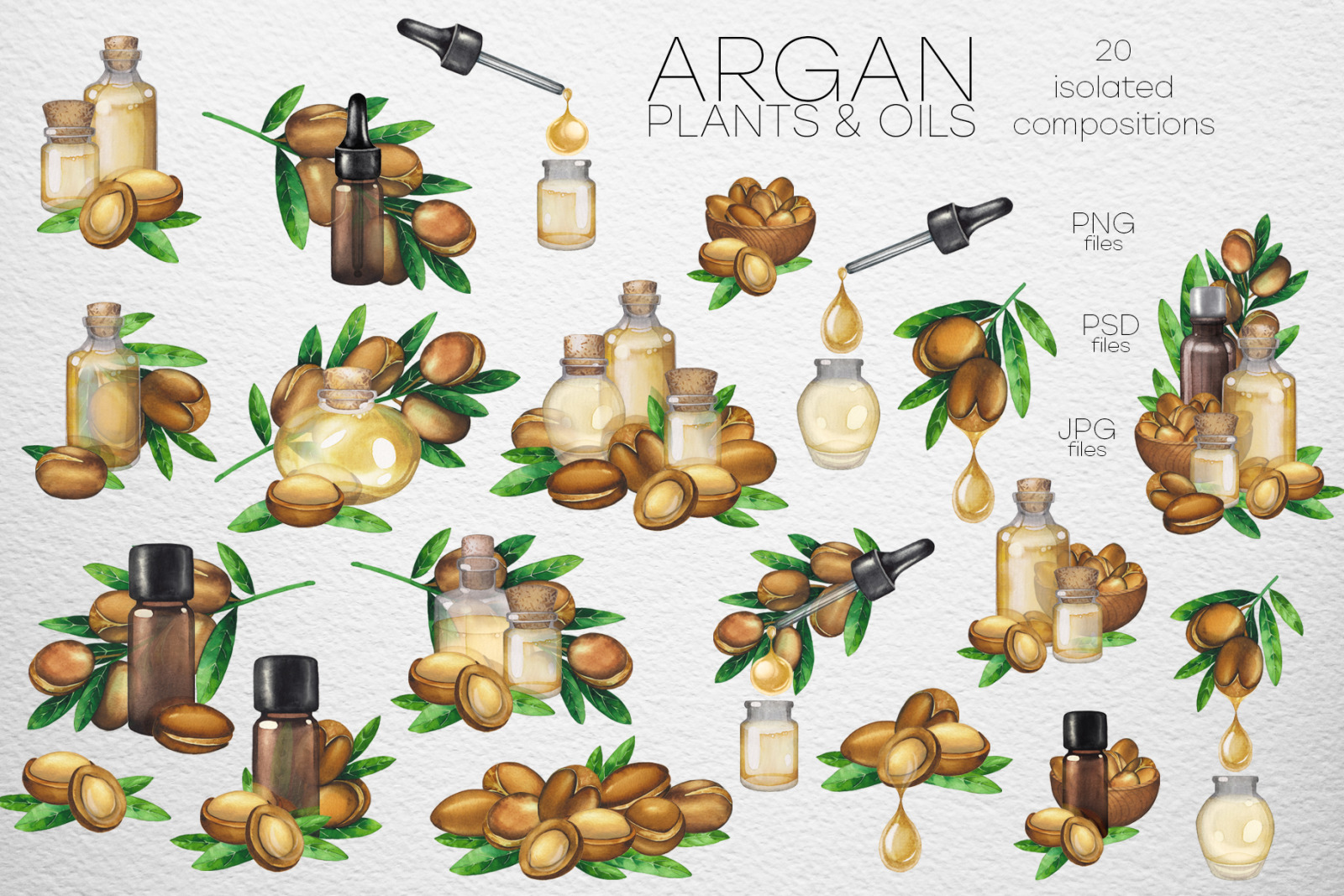 Watercolor argan plants and oils Watercolor argan plants and oils