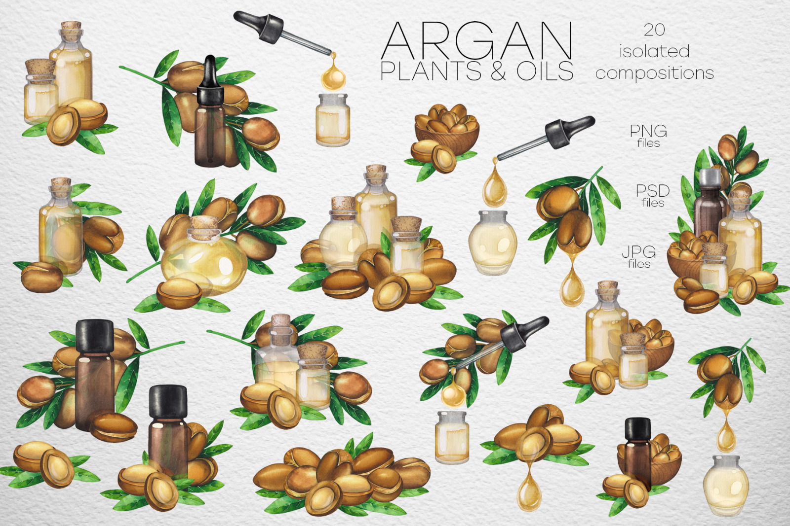 Watercolor argan plants and oils