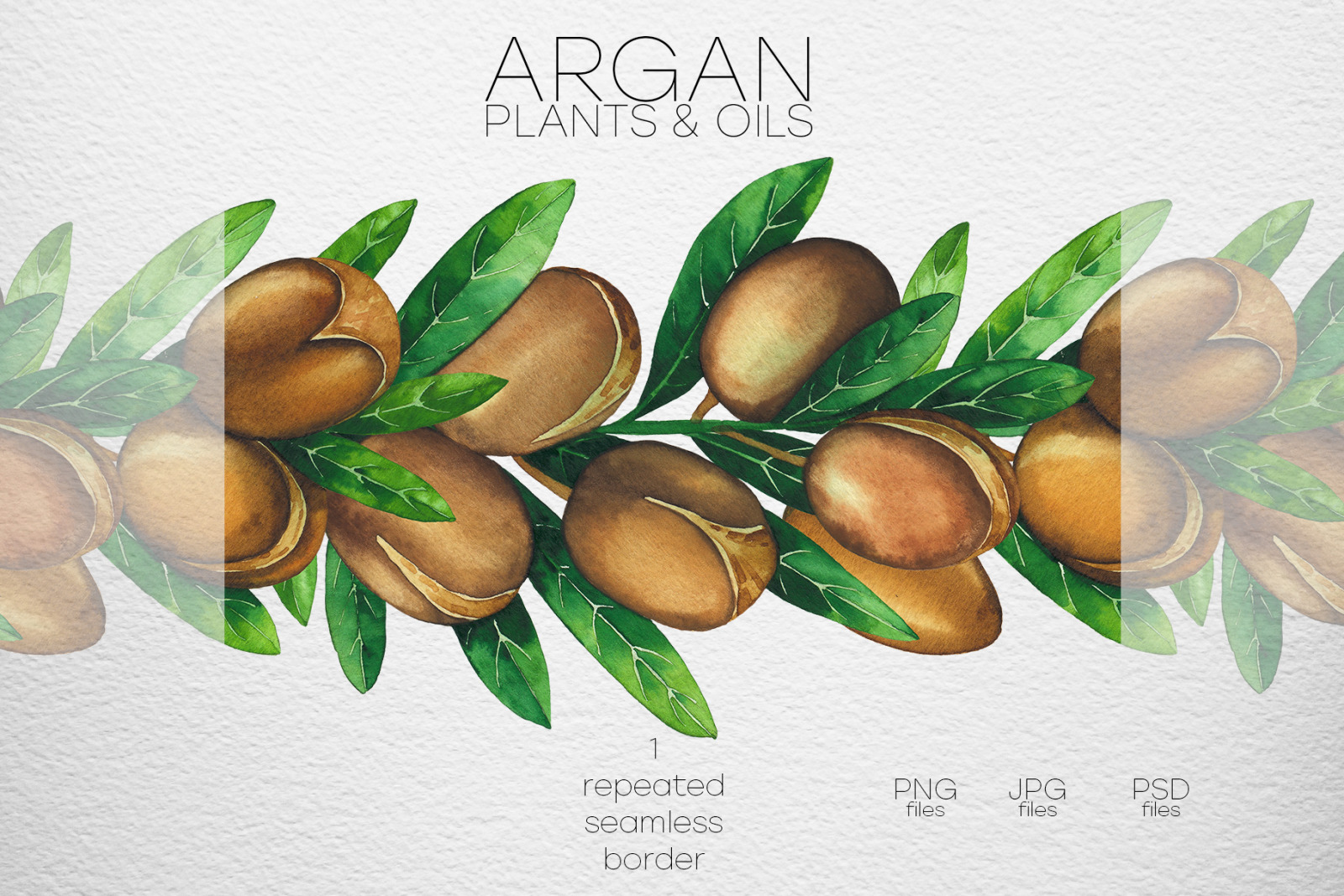 Watercolor argan plants and oils