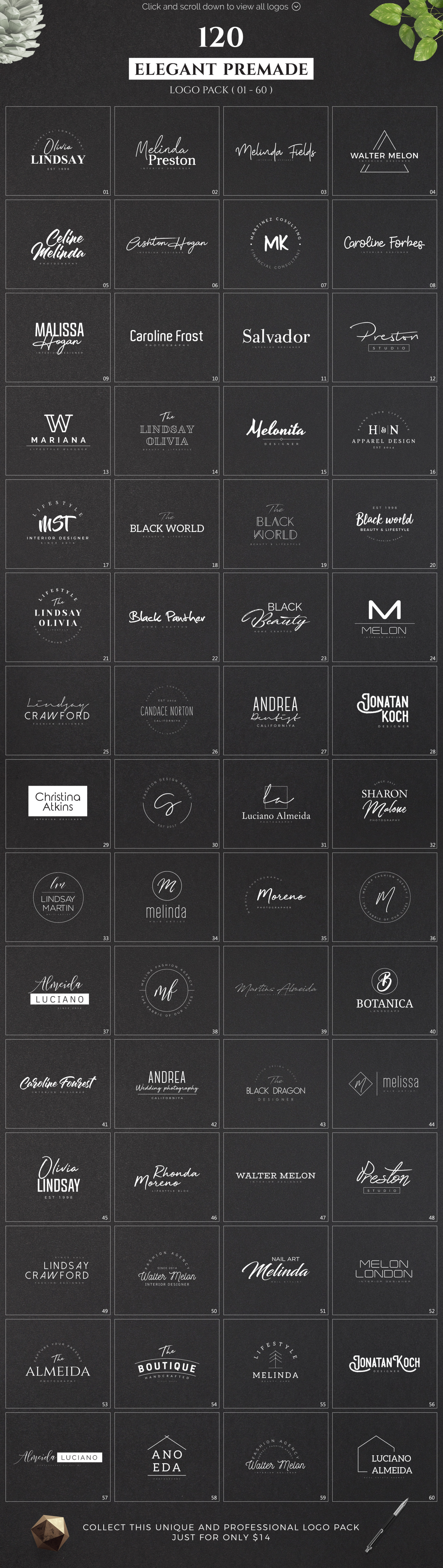 120 Elegant Premade Logo Pack