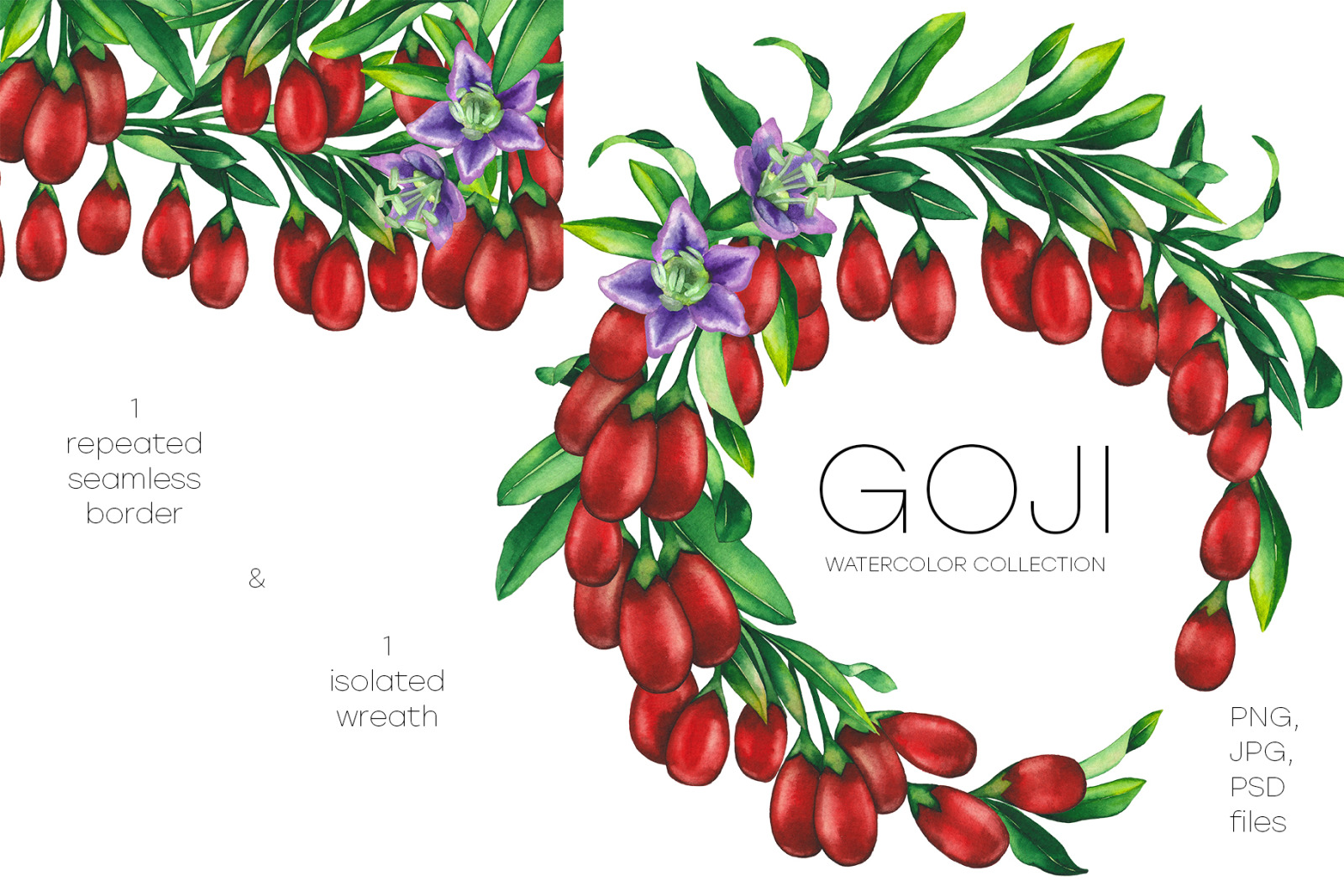 Watercolor goji collection