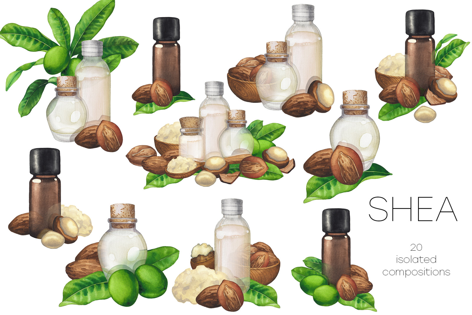 Watercolor shea collection Watercolor shea collection