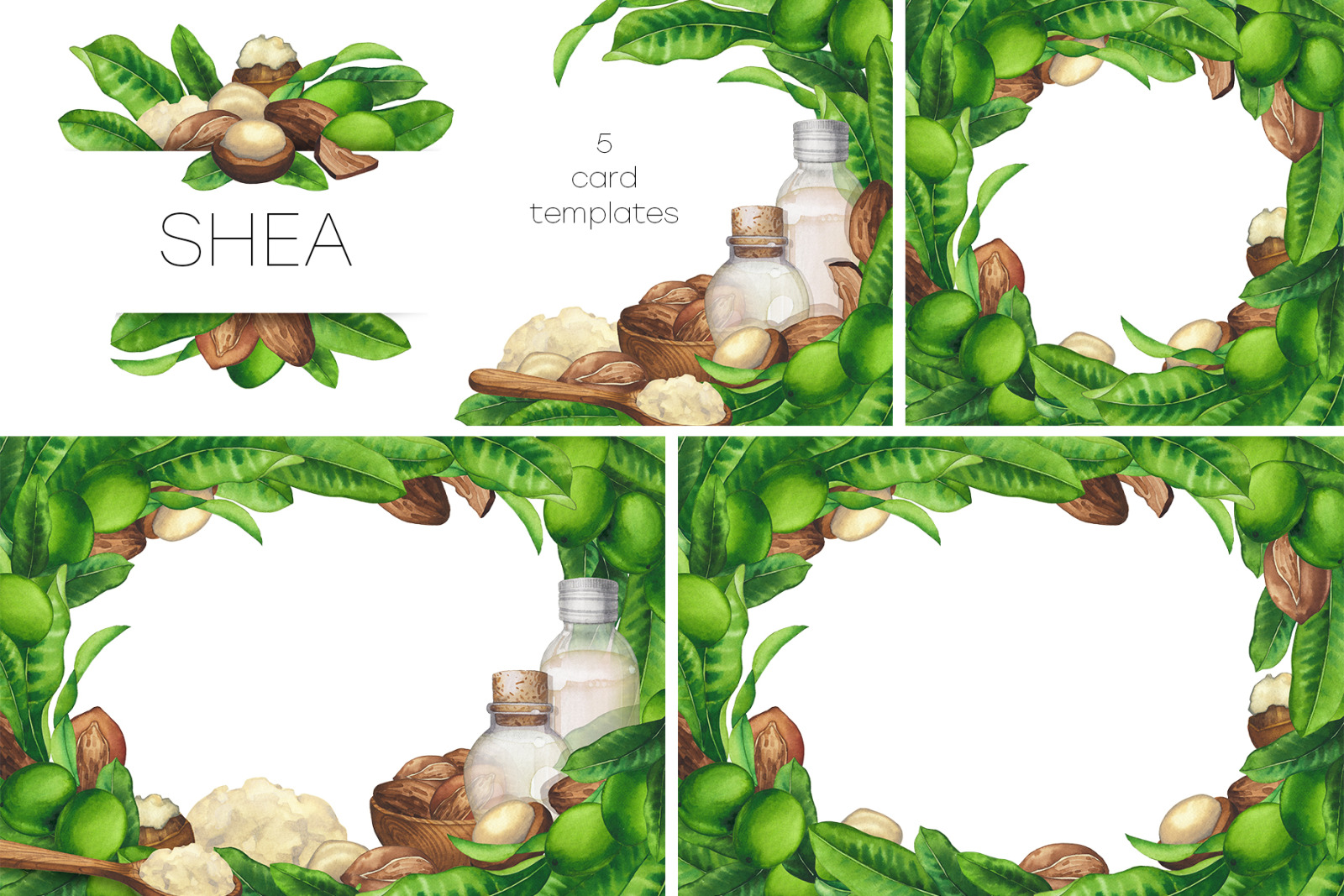 Watercolor shea collection Watercolor shea collection