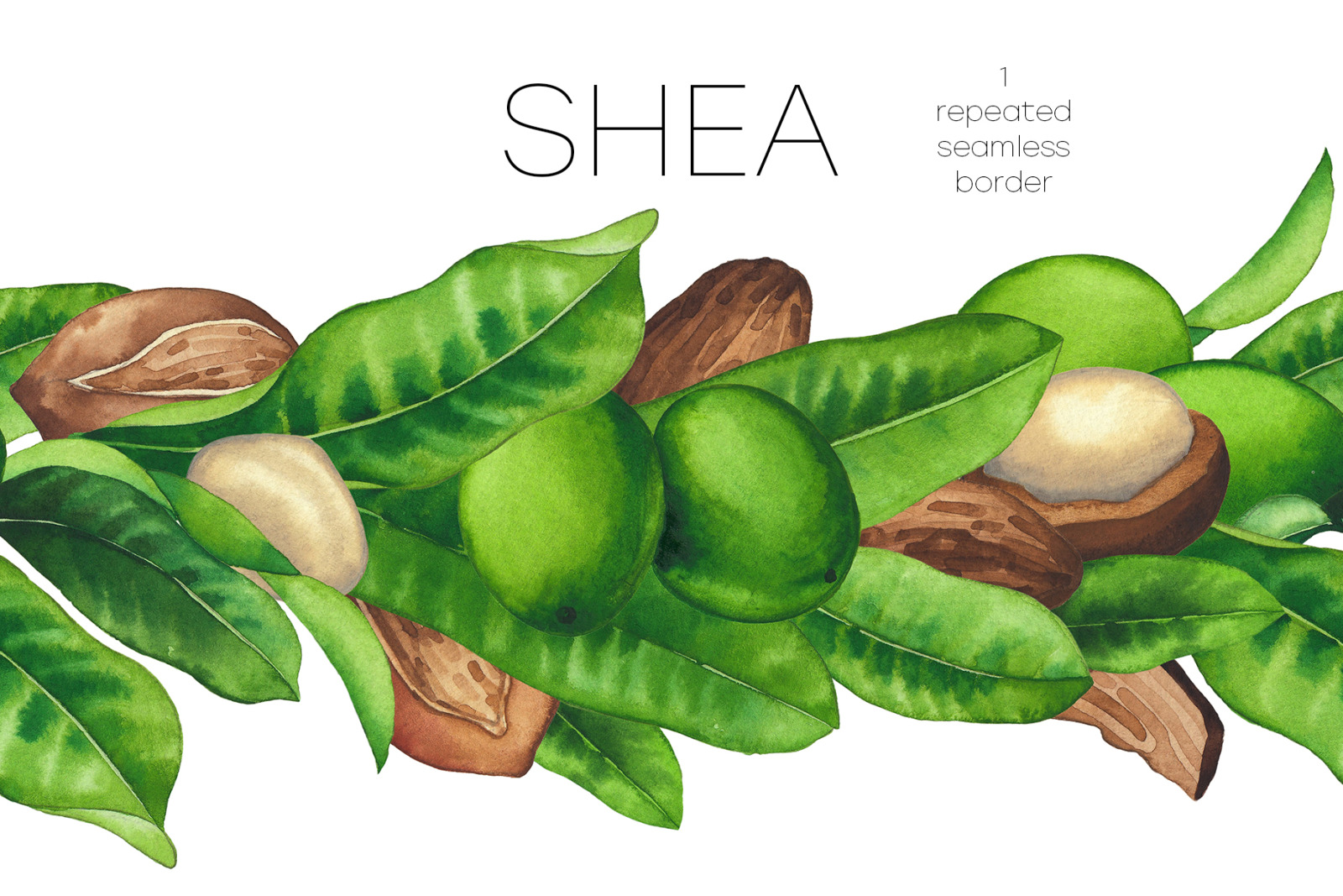 Watercolor shea collection Watercolor shea collection