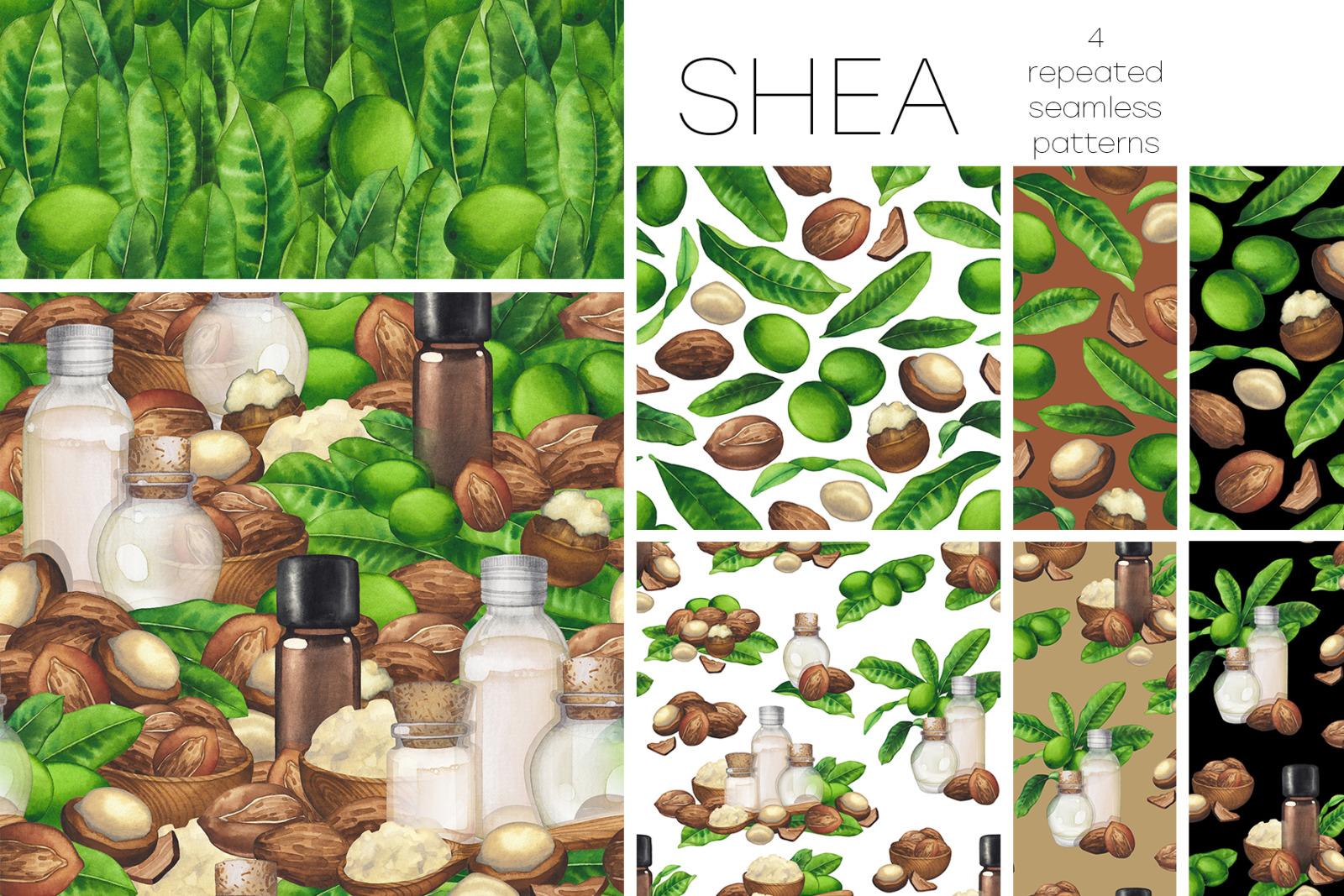 Watercolor shea collection