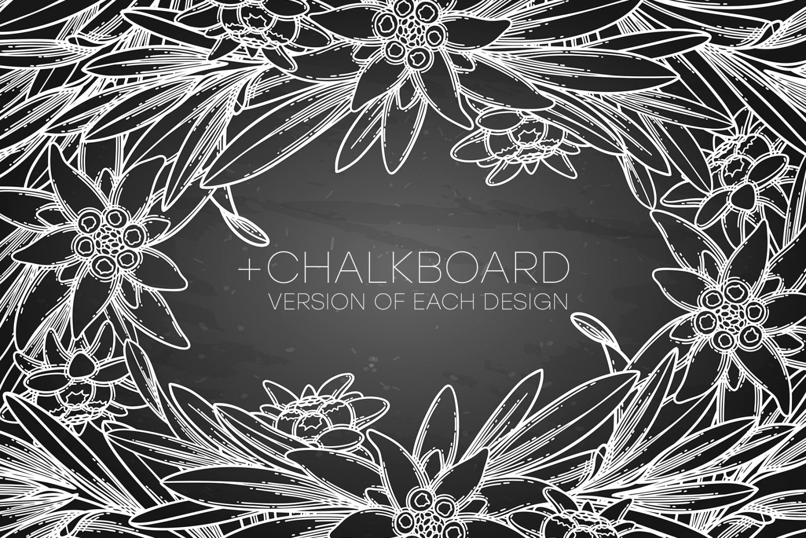 Edelweiss - vector graphics Edelweiss - vector graphics