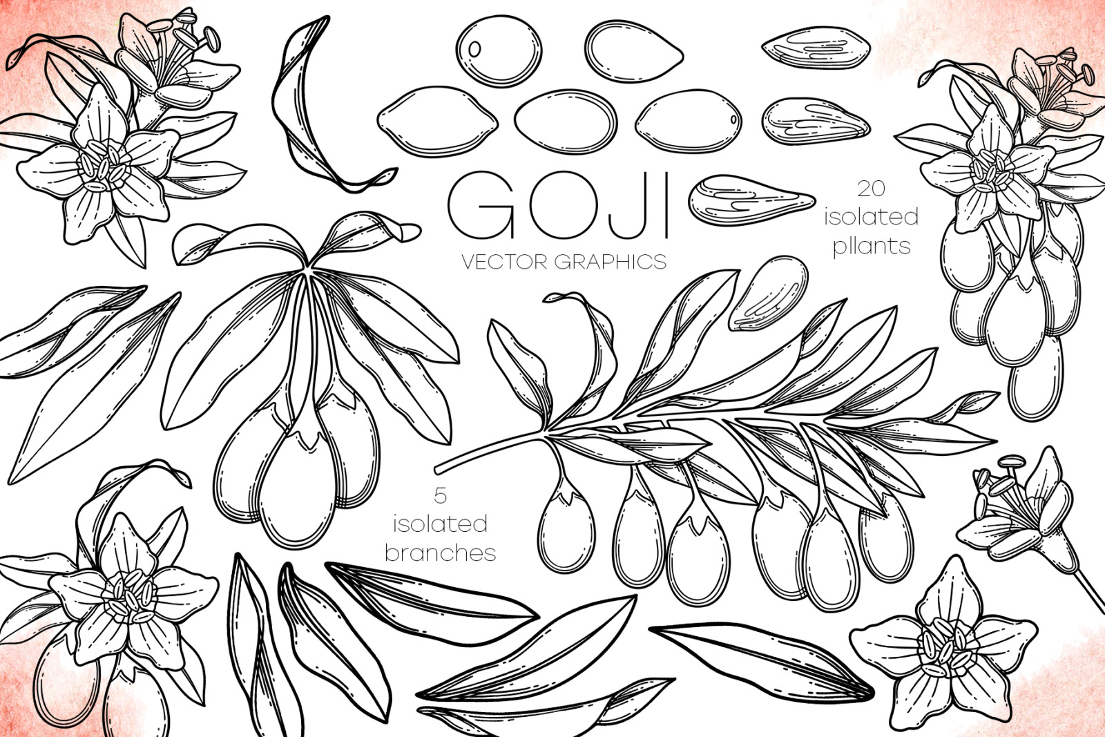 Goji - vector graphics Goji - vector graphics